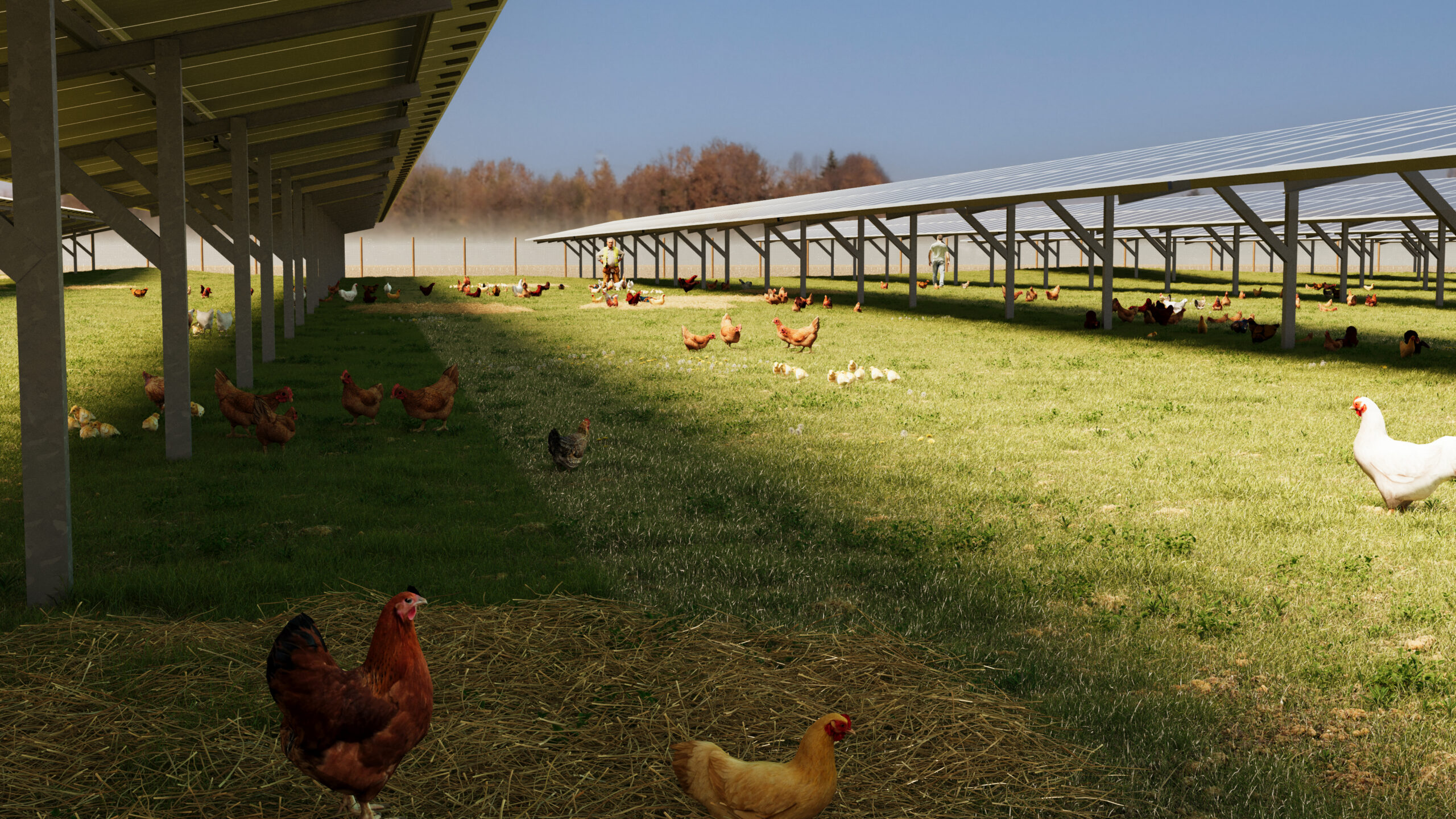 QU’EST CE QUE L’AGRIVOLTAÏSME ?